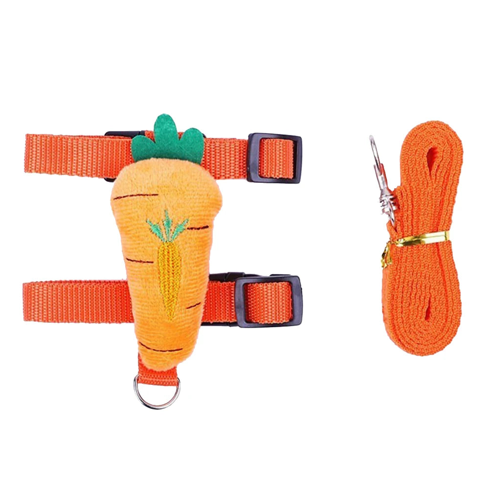 "Rabbit & Cat Harness and Leash Set