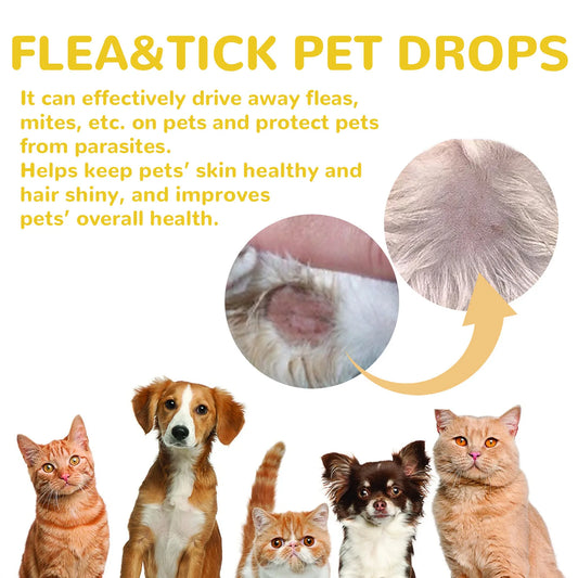 Cat Flea & Tick Treatment Drops – Anti-Flea Skin Relief