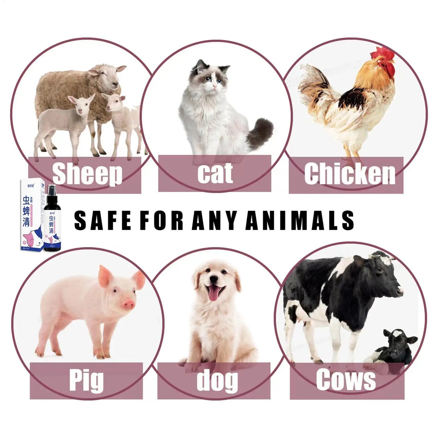 Pet Tick & Flea Repellent Spray – 100ml Safe for Dogs & Cats