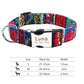 Adjustable Nylon Pet Collar – Personalized Engraved ID for Dogs & Cats