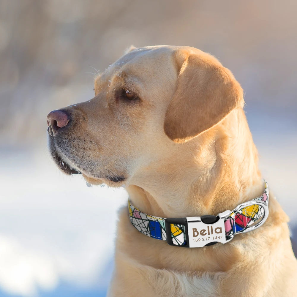Adjustable Nylon Pet Collar – Personalized Engraved ID for Dogs & Cats