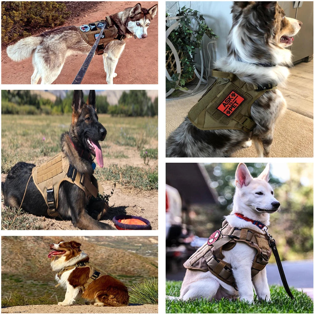 Military Tactical Dog Harness Set – Large Dog Vest with Leash & Accessories