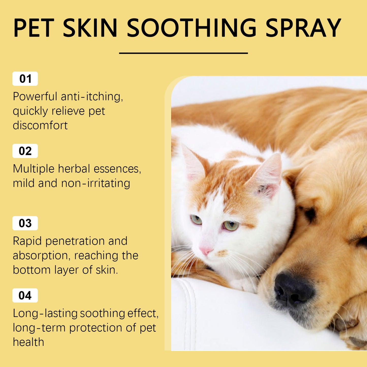 Pet Skin Care Spray – Flea & Lice Relief for Dogs and Cats