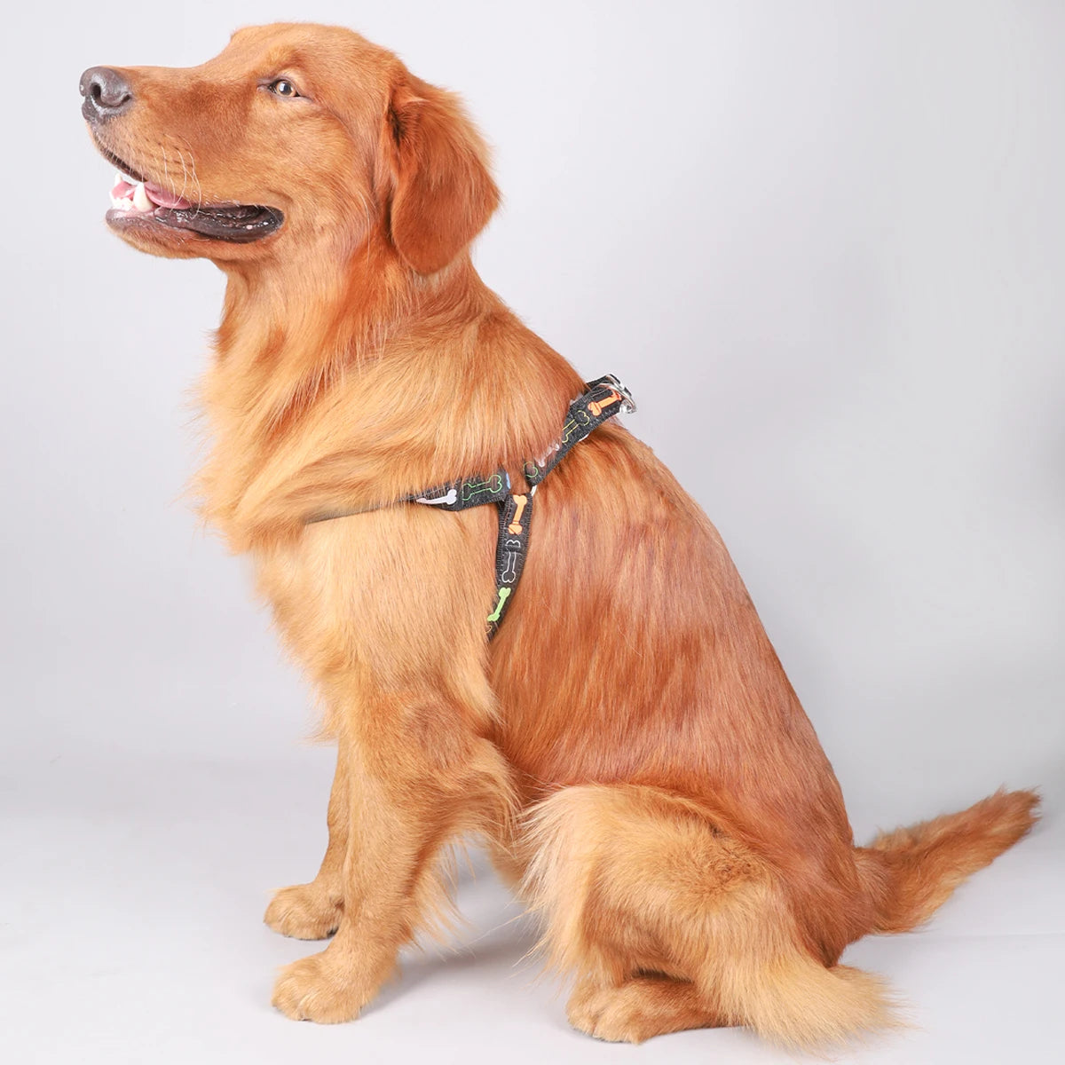 Colorful Bone Tripod Dog Harness – Indoor & Outdoor Use