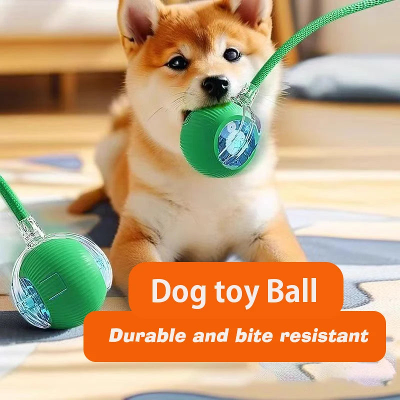 Smart Interactive Dog Ball – Automatic Rolling & Rechargeable