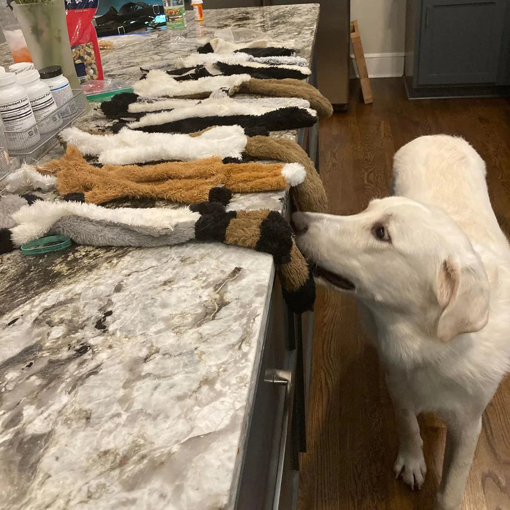 Stuffing-Free Plush Dog Toy – Durable Squeaky Chew Toy