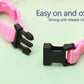 "Rabbit & Cat Harness and Leash Set