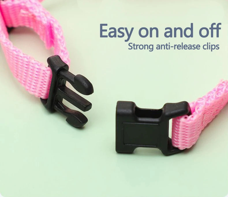 "Rabbit & Cat Harness and Leash Set