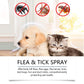Mite & Flea Removal Spray – Anti-Lice & Tick Relief for Cats & Dogs