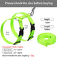 "Rabbit & Cat Harness and Leash Set