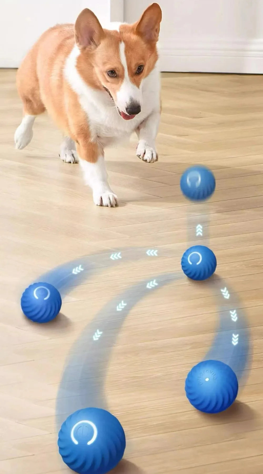 Smart Interactive Dog Toy Ball – USB Rechargeable