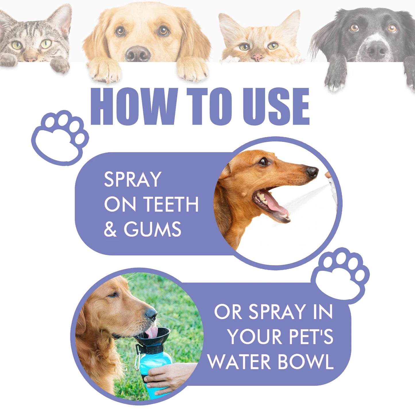 Pet Dental Spray – 30ml Oral Care for Dogs & Cats