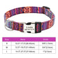 Adjustable Nylon Pet Collar – Personalized Engraved ID for Dogs & Cats