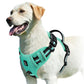 No-Pull Dog Harness – Adjustable Padded Vest with Handle