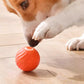 Smart Interactive Dog Toy Ball – USB Rechargeable
