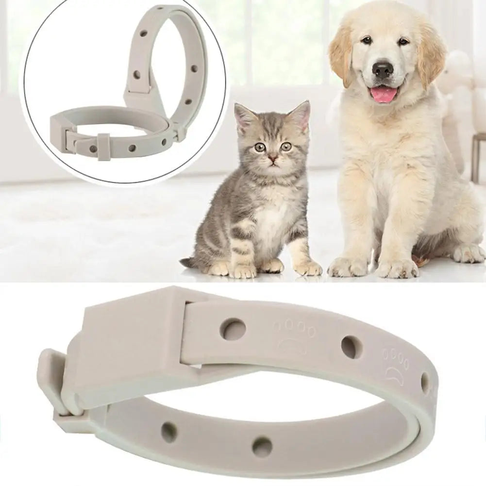 Flea & Tick Collar for Cats and Small Dogs – 8-Month Protection