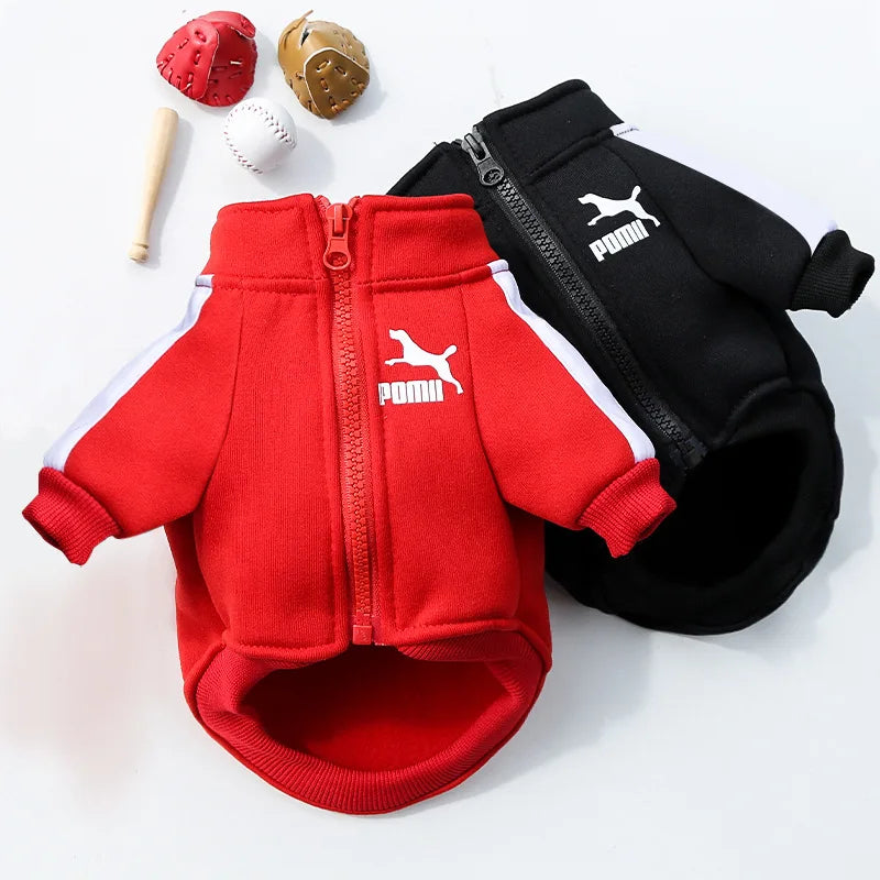 Baseball Dog Jacket – Winter Coat for Small & Medium Dogs
