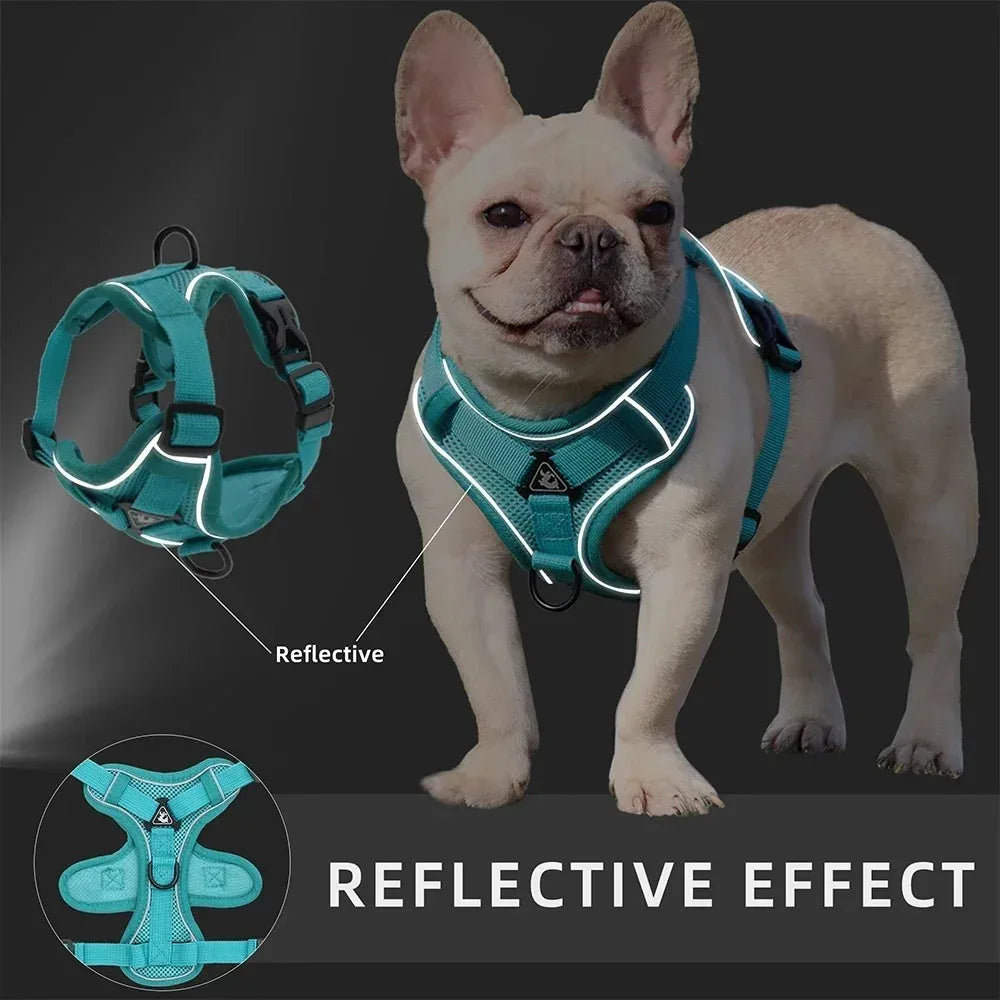 No-Pull Dog & Cat Harness with Leash – Adjustable Reflective Vest