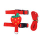 "Rabbit & Cat Harness and Leash Set