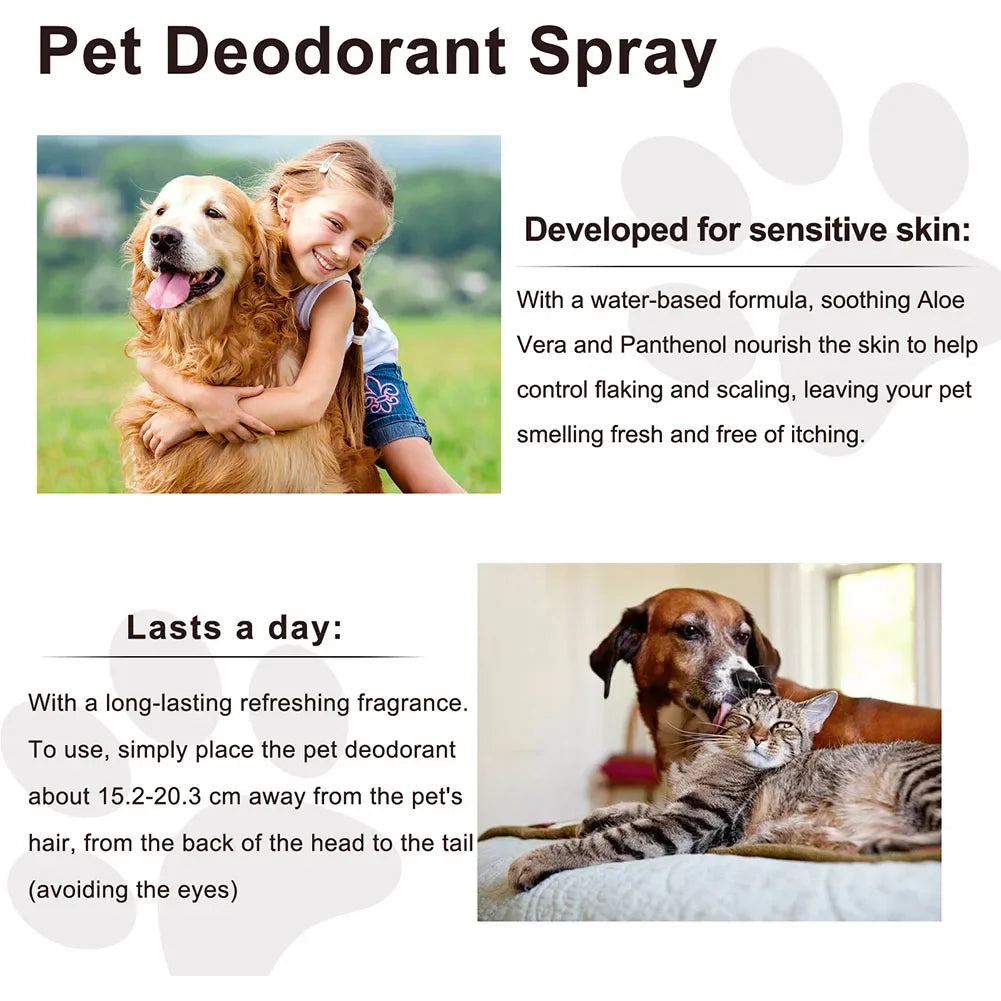Lavender Oil Dog Deodorizer Spray – Long-Lasting Odor Remover for Cats & Dogs