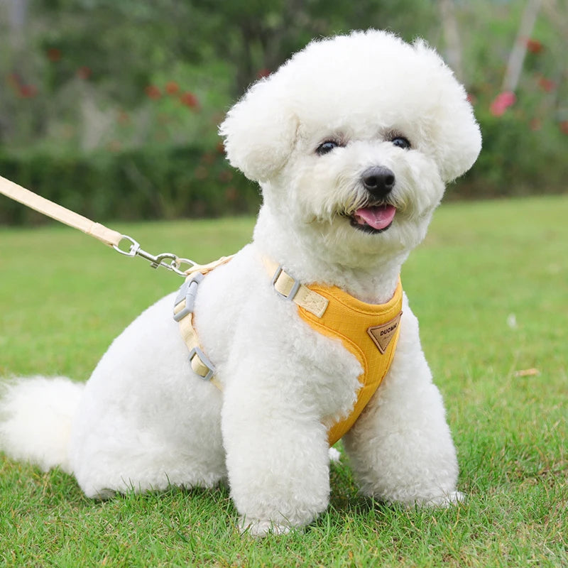 Puppy Harness & Leash Set – Breathable Vest for Small & Medium Pets