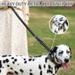 Reflective Shock-Absorbing Bungee Dog Leash – Heavy Duty with Car Seatbelt