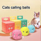 Interactive Plush Toy Balls – Electric Catnip Squeak Toys for Cats & Dogs