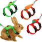 "Rabbit & Cat Harness and Leash Set