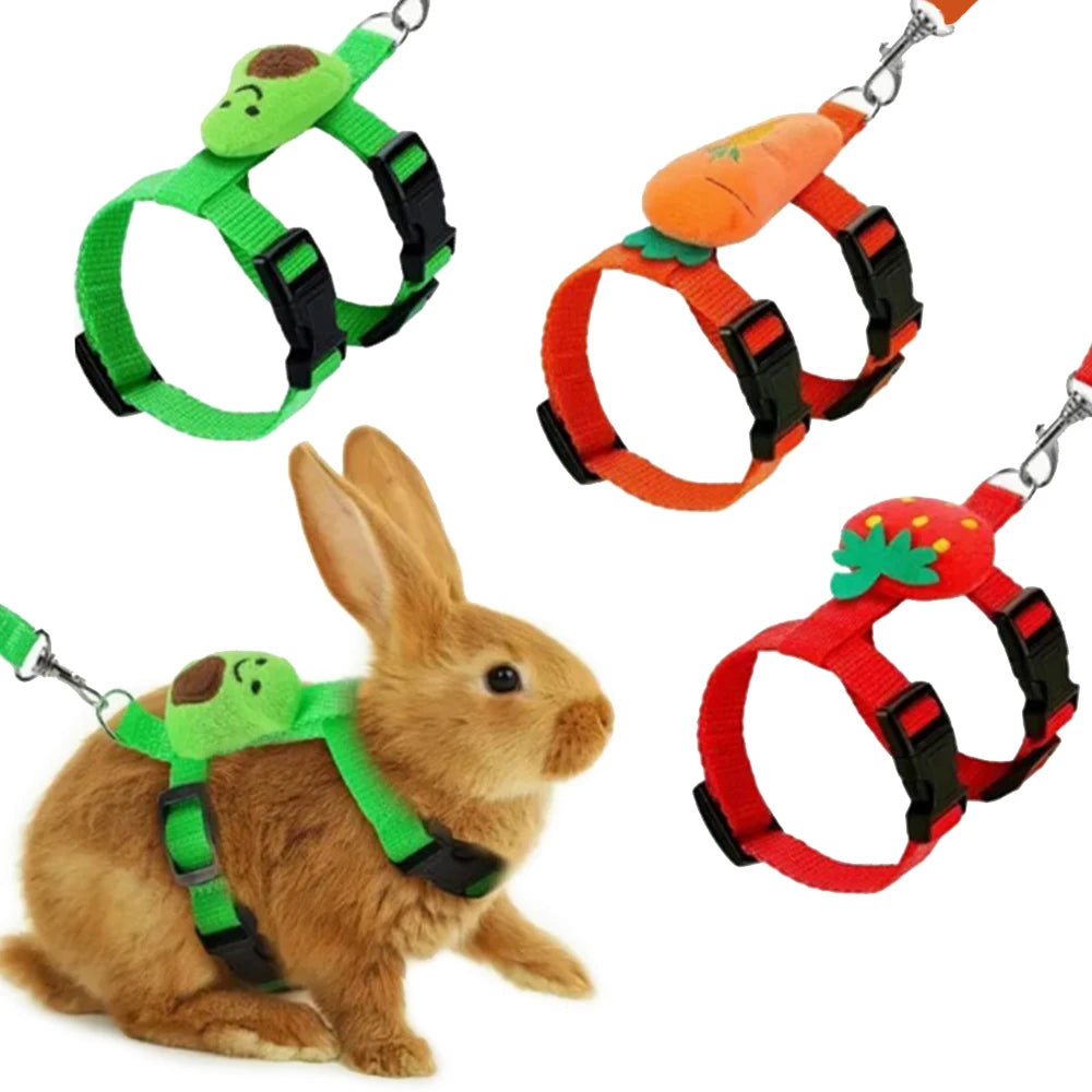 "Rabbit & Cat Harness and Leash Set