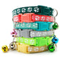 12-Pcs Anti-Lost Pet Collars – Mix Color Buckle Collars with Bell