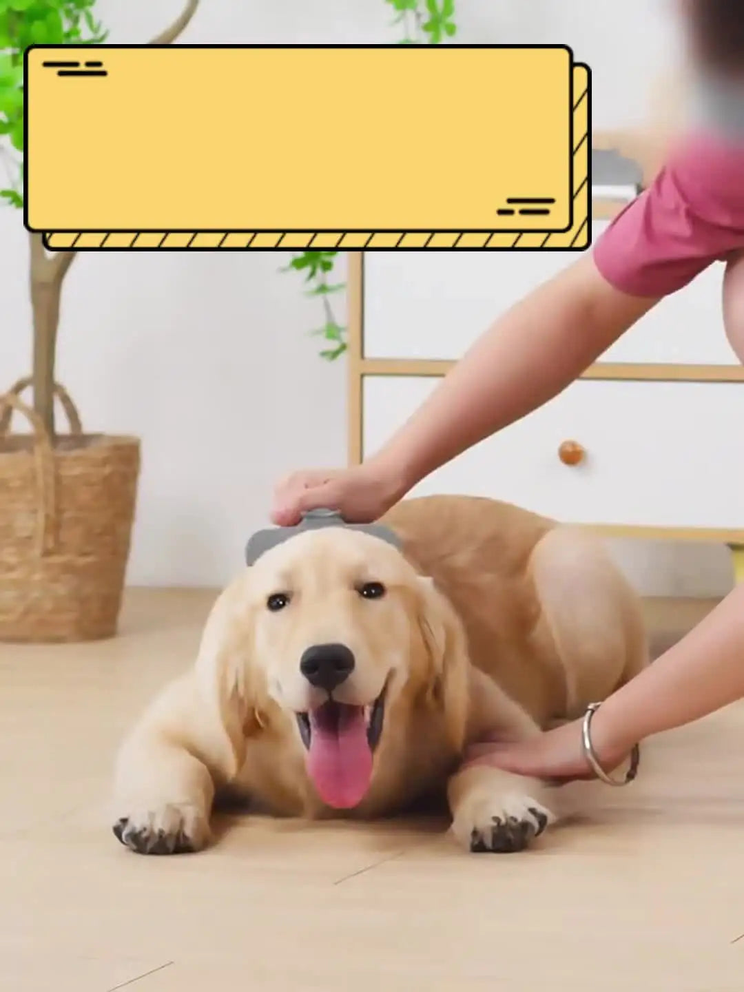 Pet Thinning Comb – Knotting & Hair Removal Tool for Dogs & Cats