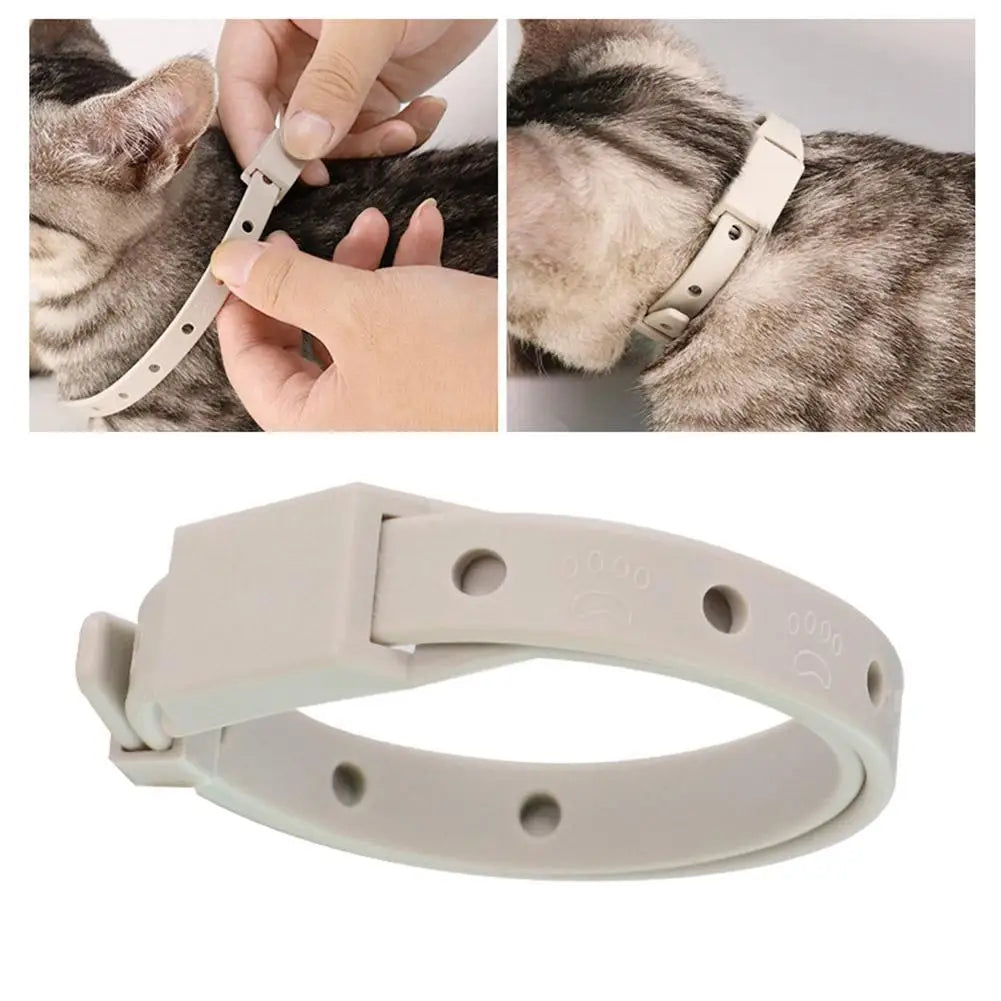 Flea & Tick Collar for Cats and Small Dogs – 8-Month Protection