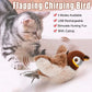 Catnip Electric Bird Toy – USB Rechargeable Touch-Activated Plush