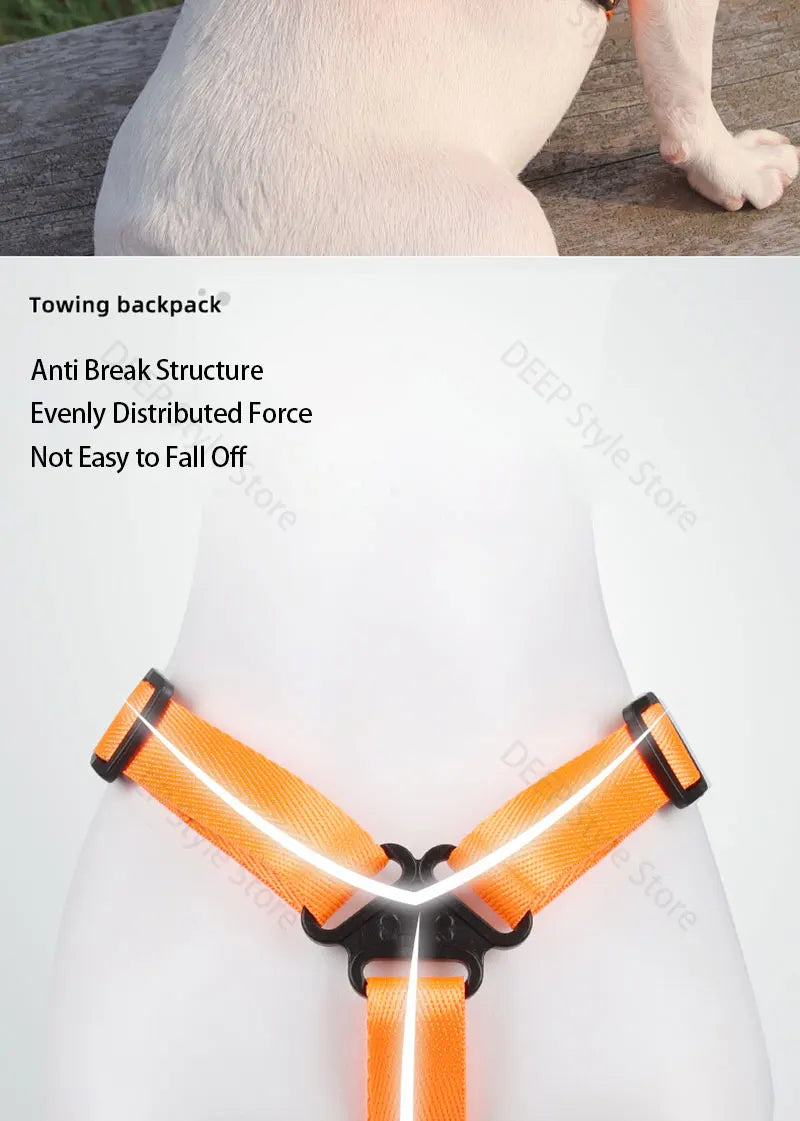 Dog Harness & Leash with Snack Backpack – Adjustable Pet Travel Set