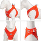 Adjustable Reflective Dog & Cat Harness Leash Set – Small & Medium Pets