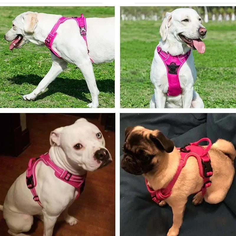 Reflective Adjustable Dog & Cat Harness – Breathable Chest Vest
