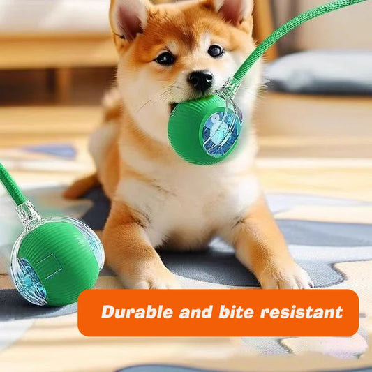 Smart Interactive Dog Ball – Automatic Rolling & Rechargeable