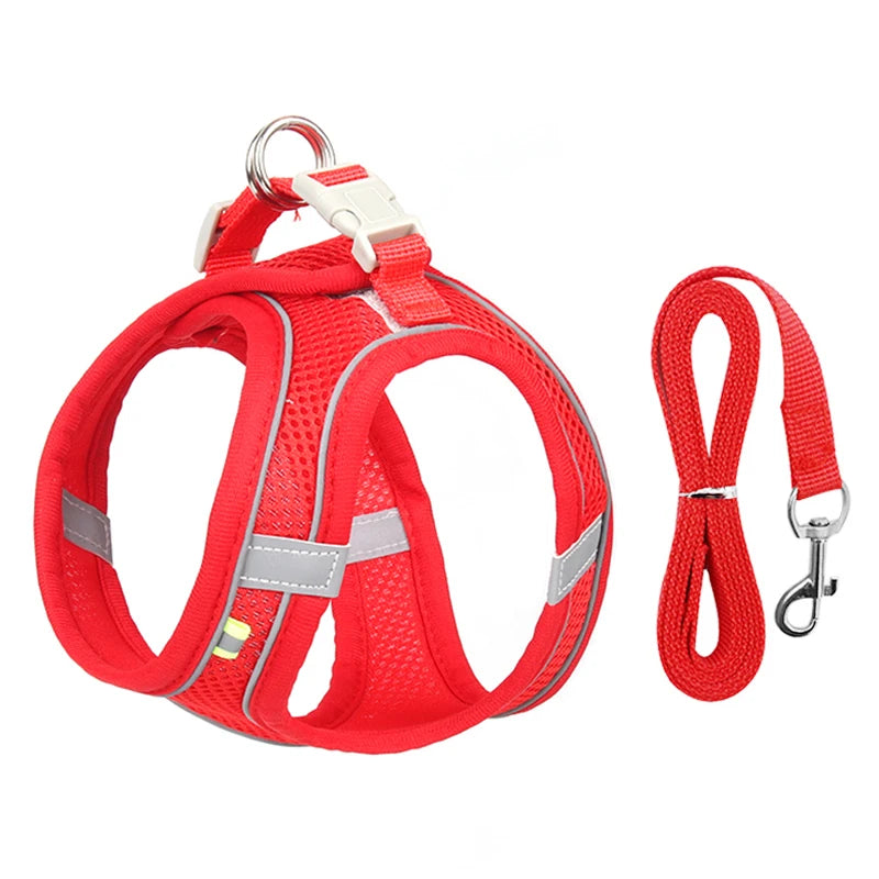 Adjustable Dog & Cat Harness Leash Set – Small Breed Vest