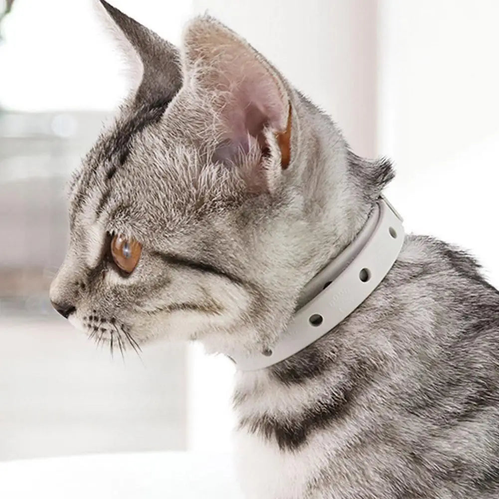 5-Pack Flea & Tick Collars for Dogs & Cats – 8-Month Protection