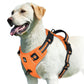 No-Pull Dog Harness – Adjustable Padded Vest with Handle