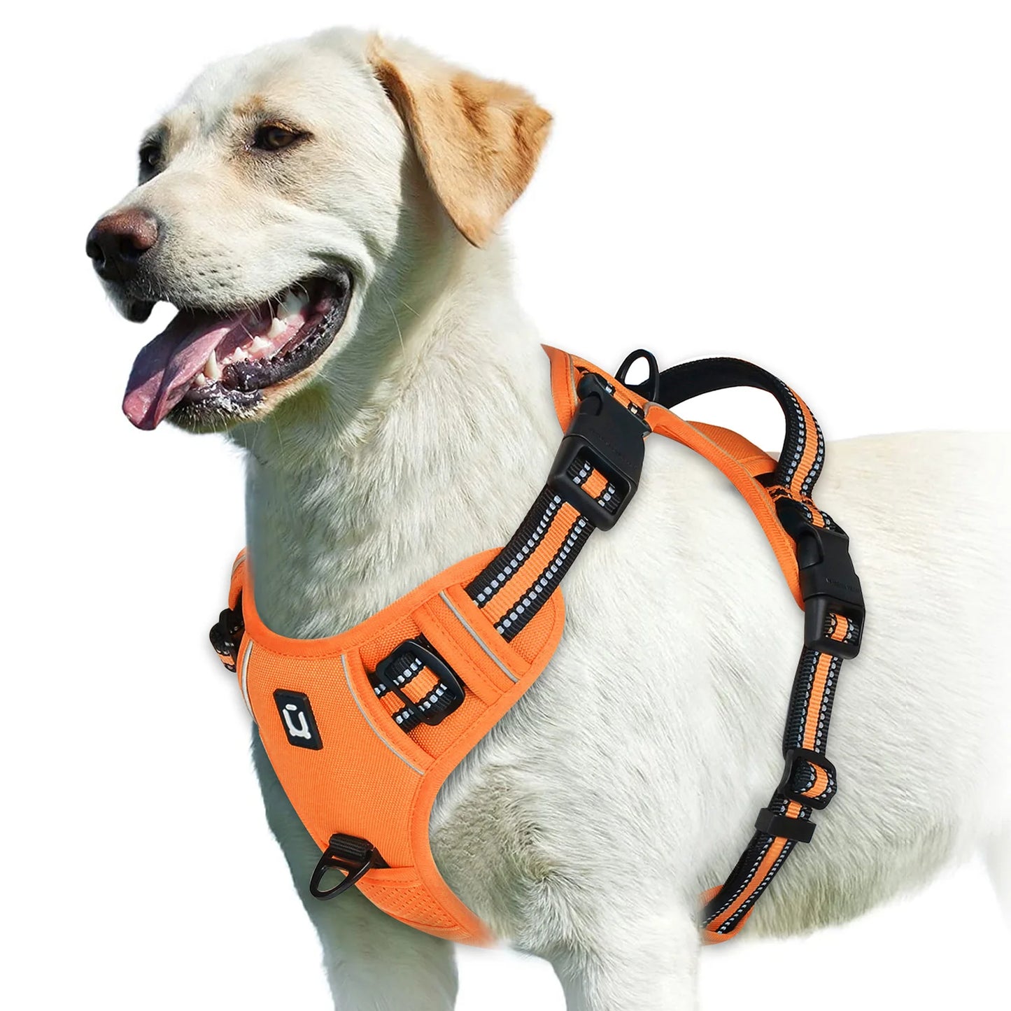 No-Pull Dog Harness – Adjustable Padded Vest with Handle