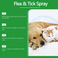 Mite & Flea Removal Spray – Anti-Lice & Tick Relief for Cats & Dogs