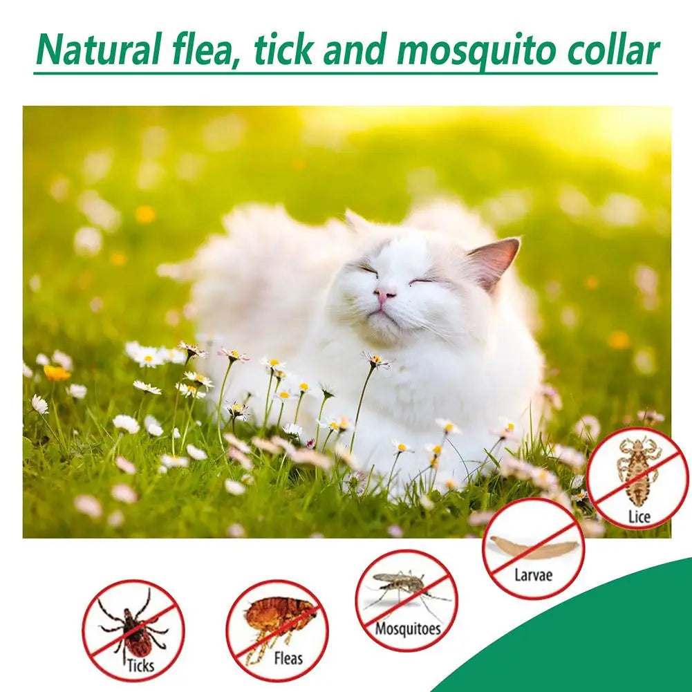 High-End Pet Flea Killer Drops – 60ml for Cats & Dogs