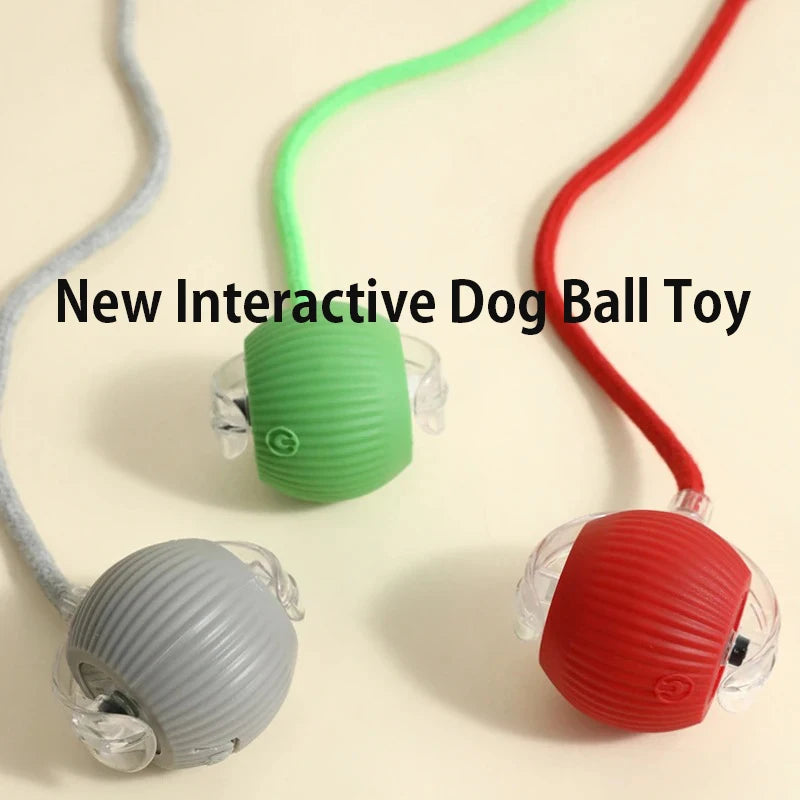 Smart Interactive Dog Ball – Automatic Rolling & Rechargeable