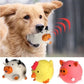 Pet Dog Vocal Toy – Interactive Squeaky Chew Toy