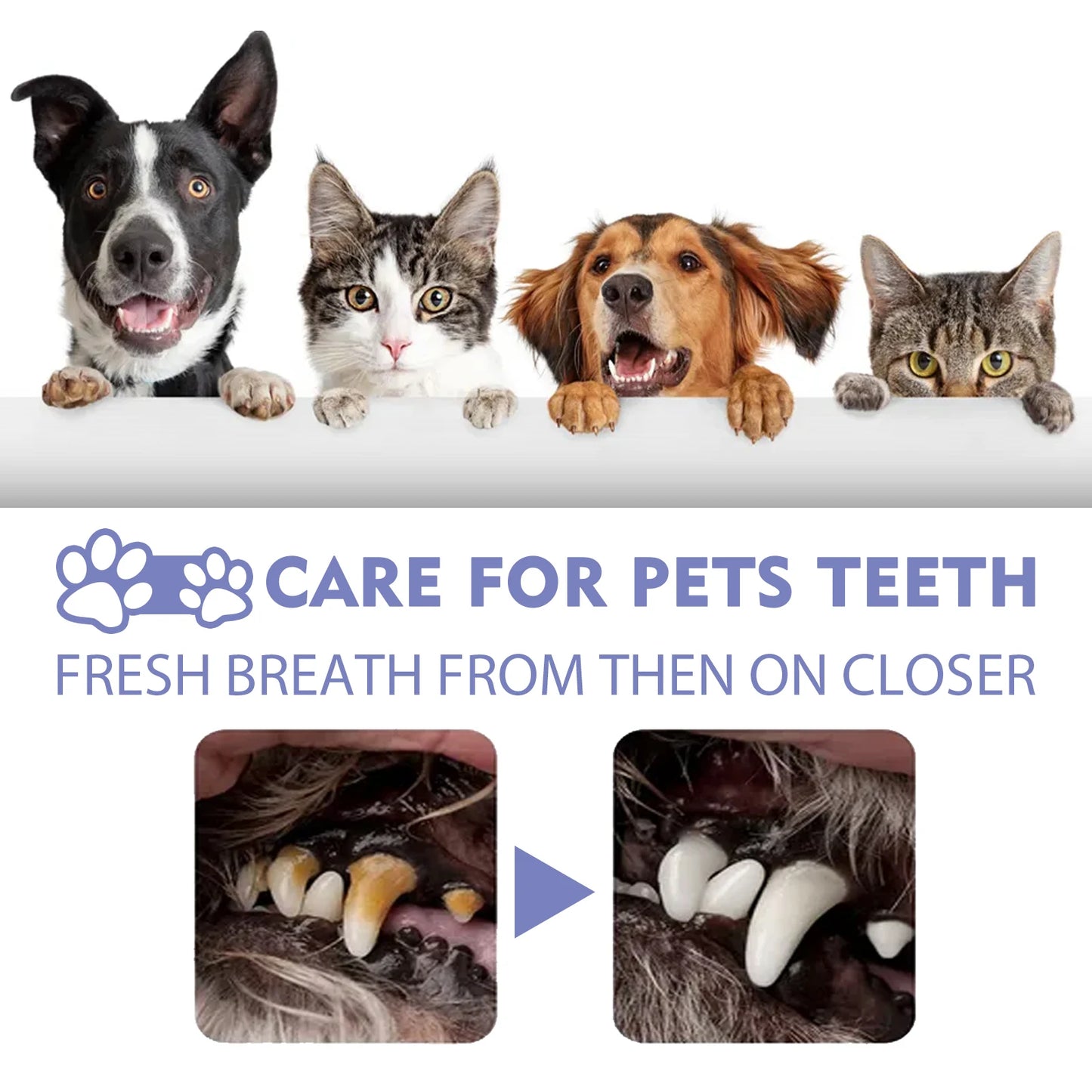 Pet Dental Spray – 30ml Oral Care for Dogs & Cats
