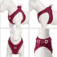 Adjustable Reflective Dog & Cat Harness Leash Set – Small & Medium Pets