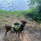 Military Tactical Dog Harness Set – Large Dog Vest with Leash & Accessories