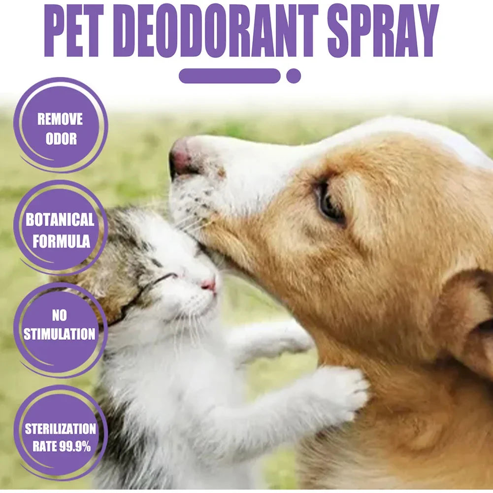 Lavender Oil Dog Deodorizer Spray – Long-Lasting Odor Remover for Cats & Dogs