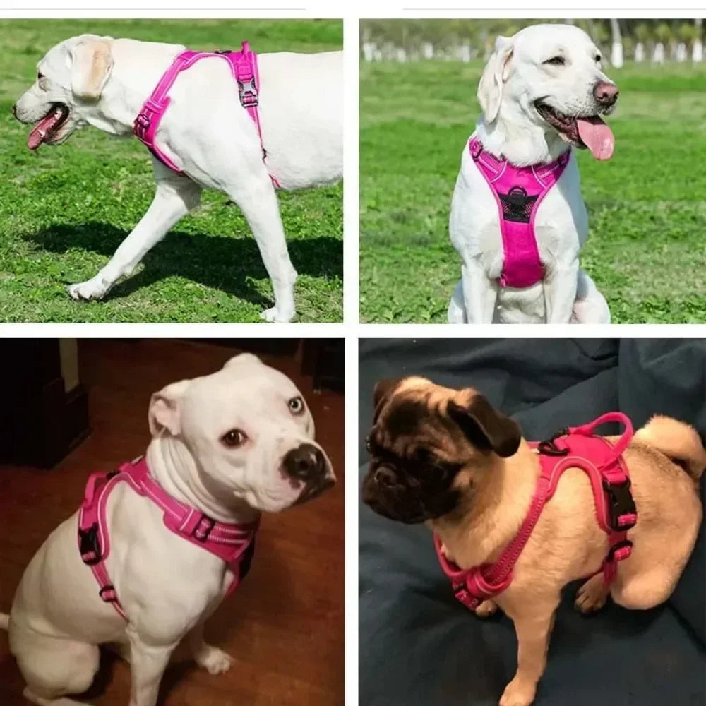 Reflective Adjustable Dog & Cat Harness – Breathable Chest Vest